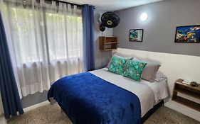Casa de las Palmas 1